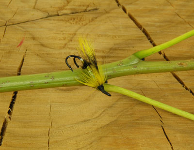 4 GREEN HIGHLANDER SALMON FLY DOUBLES